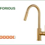Pfister G133-10YY Pull-Out Kitchen Faucet