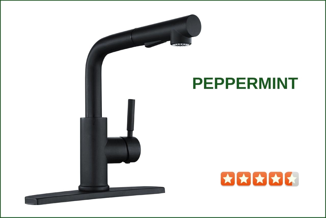 Peppermint PM-16Y Matte Black Kitchen Faucet