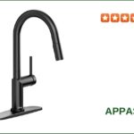 APPASO Kitchen Faucet with Pull Down Sprayer