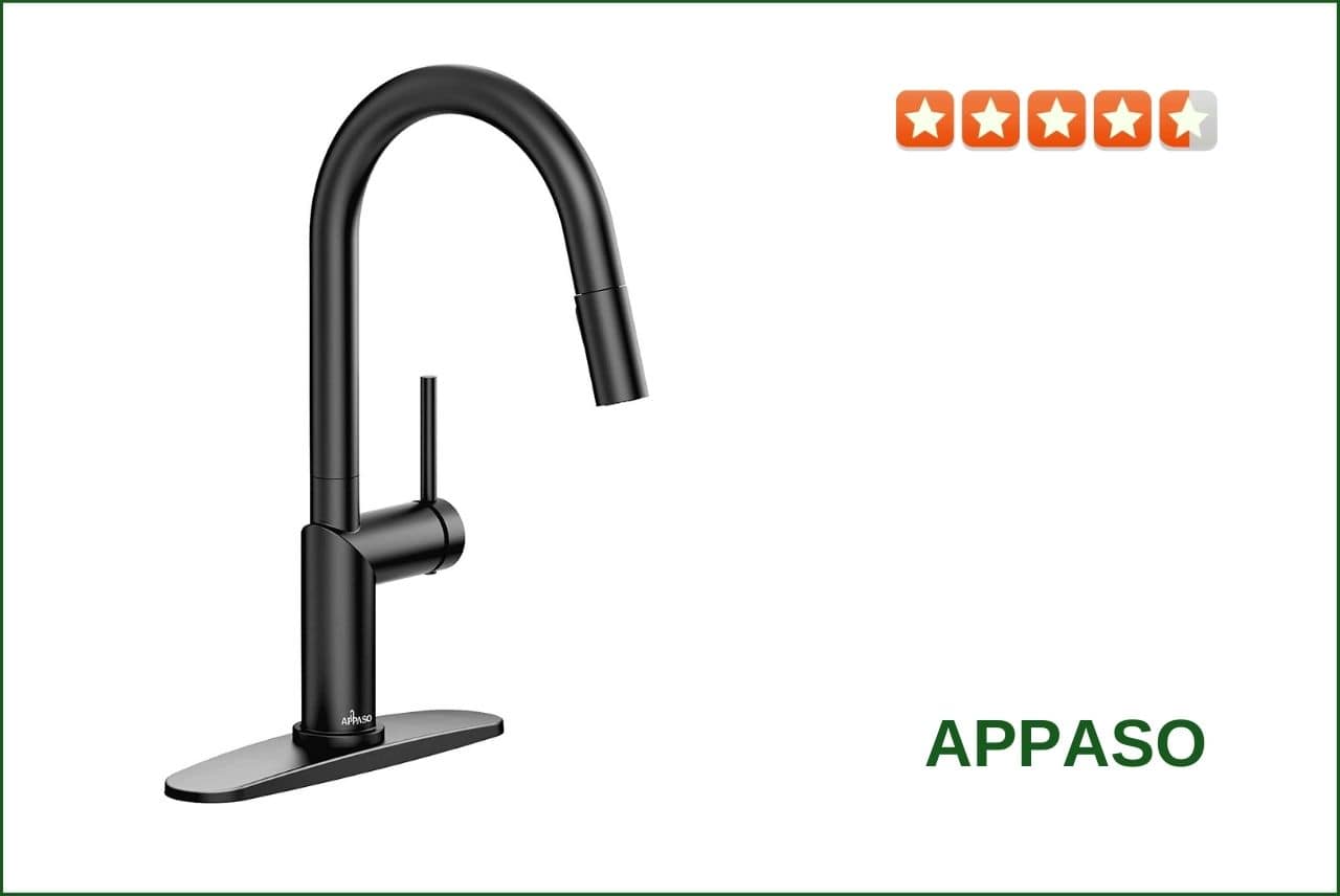 APPASO Kitchen Faucet with Pull Down Sprayer