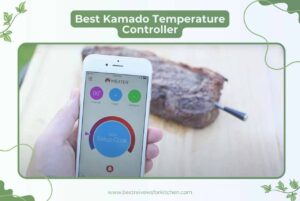 Best Kamado Temperature Controller