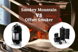 Weber Smokey Mountain vs Offset Smoker