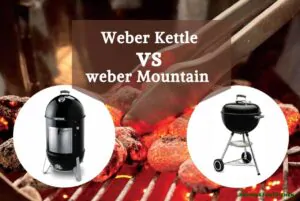 Weber Kettle vs Smokey Mountain