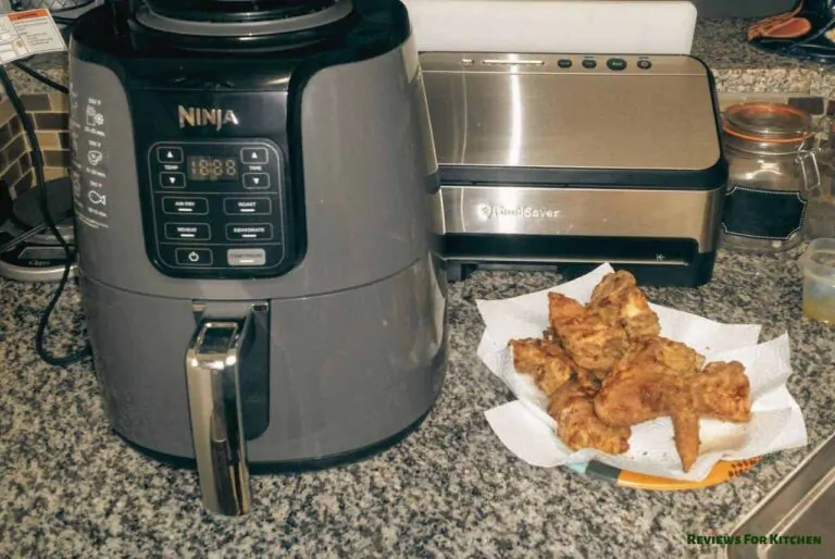 best air fryer with dehydrator